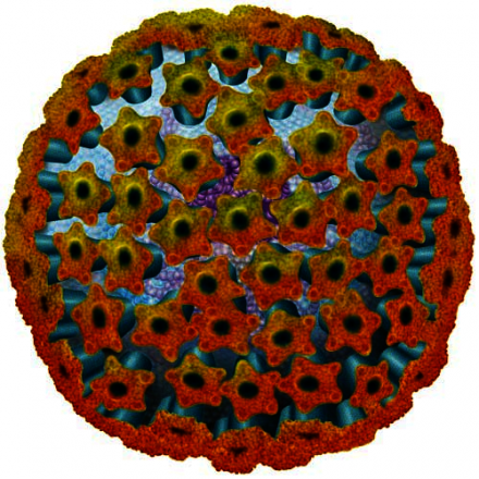Le Prix Eclosion 2010 soutiendra le développement d’une nouvelle approche de traitements du cancer d’origine virale