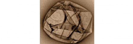 La membrane cellulaire se remonte comme une montre…
