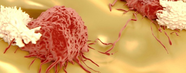 8M€ B-Round for AMAL Therapeutics