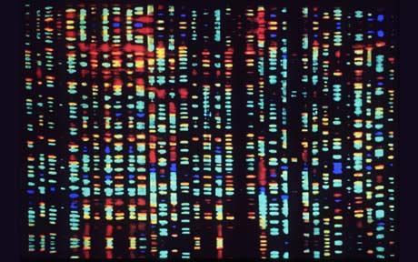 Study quantifies the Human Genome Project’s huge economic impact