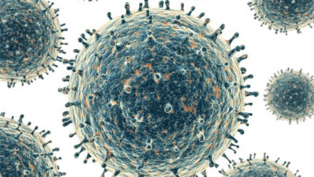 Vaccine targets four viruses