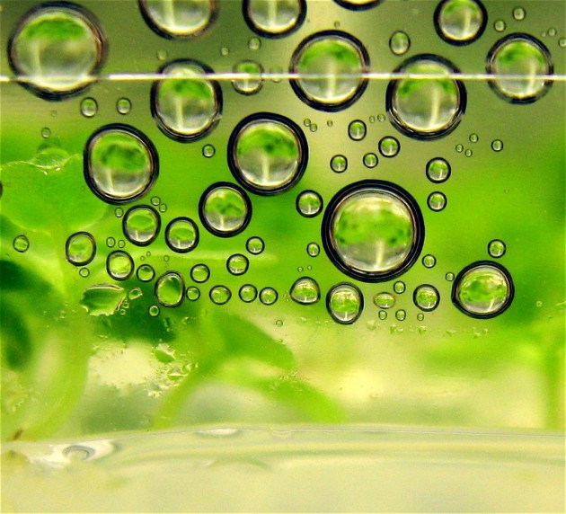 Biotech sector is seeing IPO boom, not just a bubble!