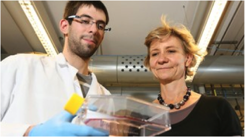 Le bacille du charbon cache son arme pour mieux frapper