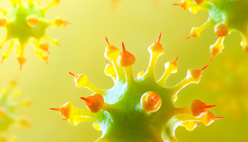 Imiter la nature: nouveau Centre National de Compétences pour les matériaux intelligents bio-inspirés à l’Université de Fribourg