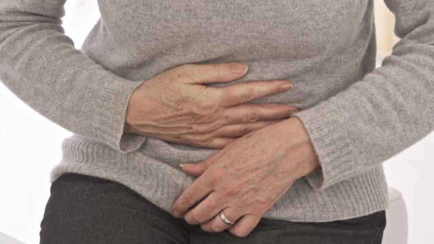 Vers des transplantations de la flore intestinale