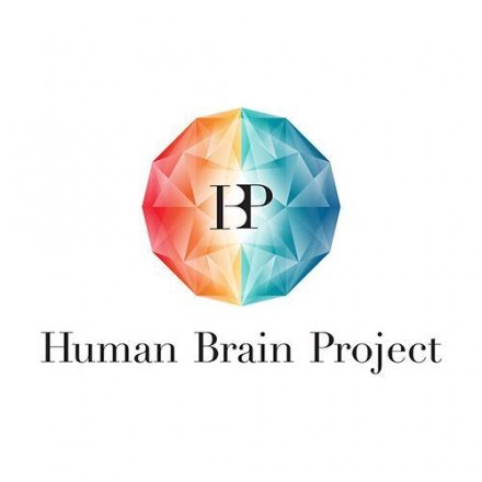 Le Human Brain Project entre dans sa phase opérationnelle