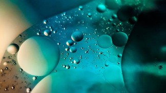 Petites interactions moléculaires, grands effets sur l’organisme