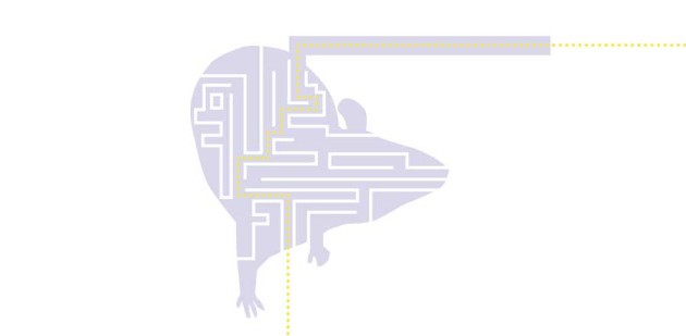 Preclinical research: Make mouse studies work
