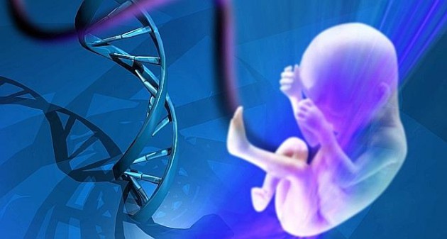 Small non-coding RNAs at the interface between genes and environment?