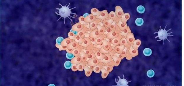 Immunothérapie, une nouvelle arme dans la guerre contre le cancer