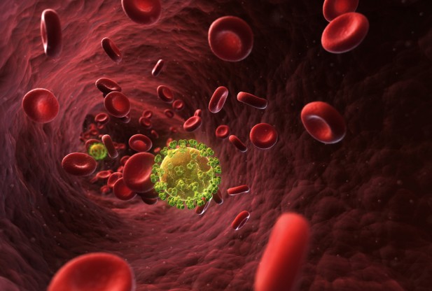 Un anticorps contre le virus MERS développé par des chercheurs de l’Université de la Suisse italienne
