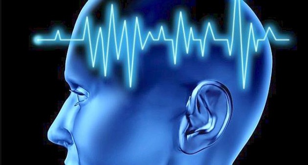 Comment nos neurones trient les informations
