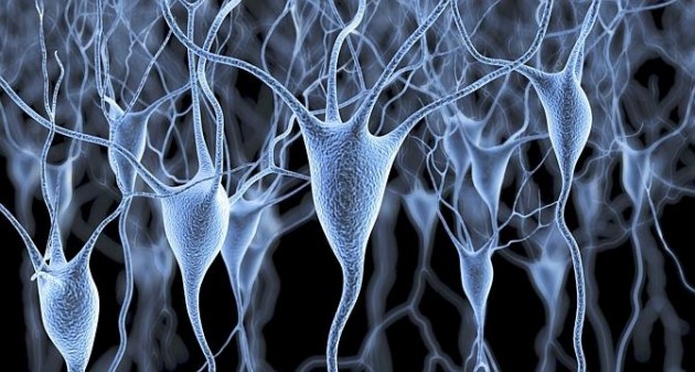 Neurons Constantly Rewrite Their DNA