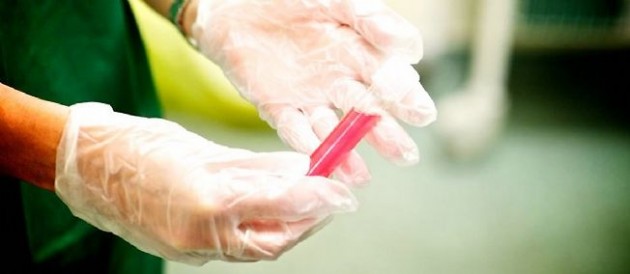 Le brevetage d’ovules autorisé s’ils ne peuvent pas devenir des êtres humains