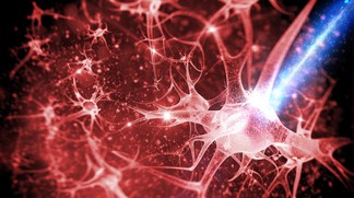 Stimuler les neurones via la lumière