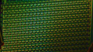Une technique innovante pour étudier des cellules isolées