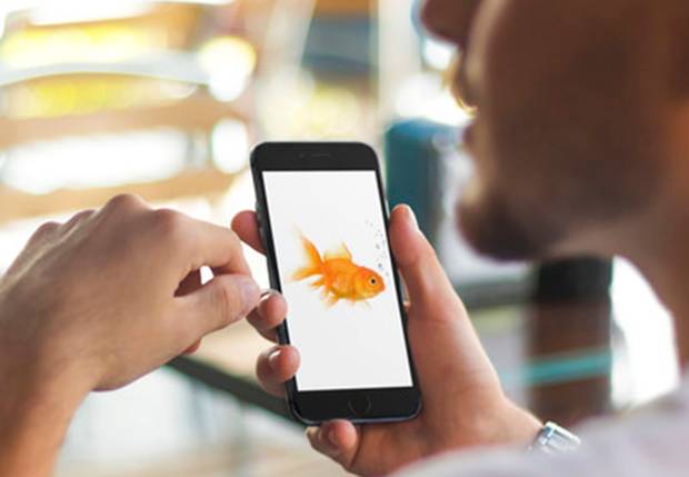 Our attention span is now less than that of a goldfish…