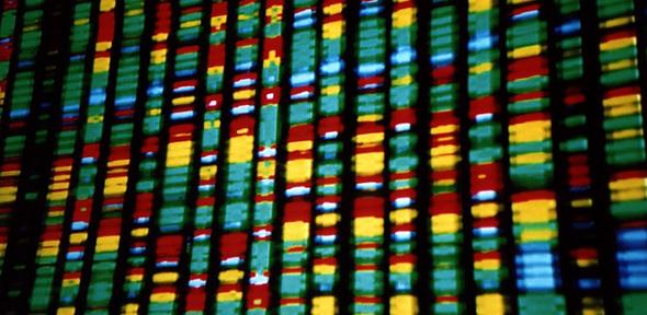 La France va créer 12 centres de séquençage du génome pour une “médecine personnalisée”