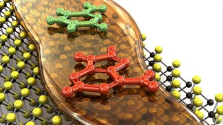 Améliorer le séquençage de l’ADN en allant moins vite