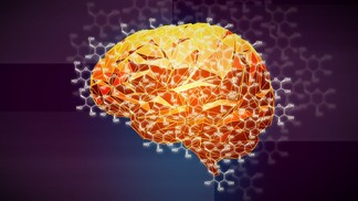 Voir le cerveau avec l’oeil d’un géologue