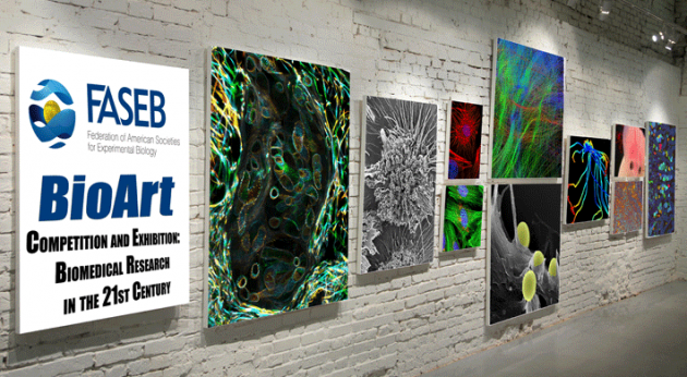 BioArt 2015 competition