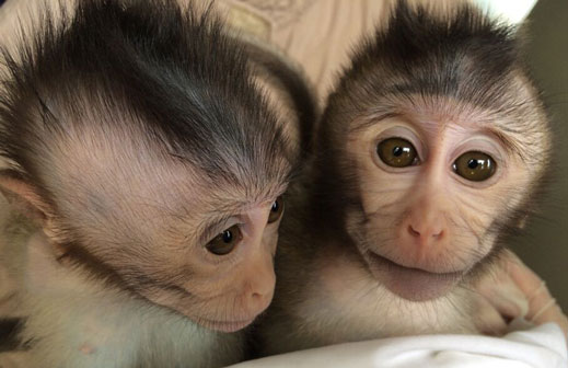 First monkeys with autism created in China