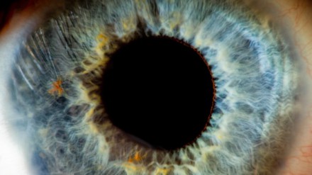 In first human test of optogenetics, doctors aim to restore sight to the blind