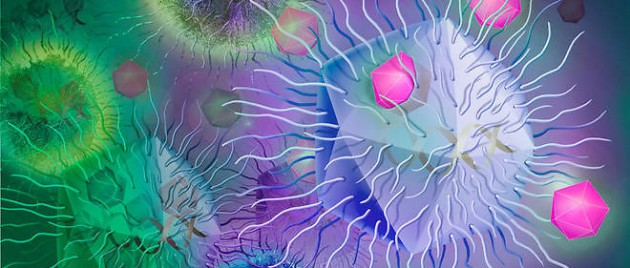 L’arme secrète des virus géants percée à jour!
