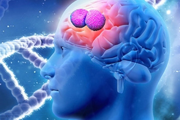 Un biomarqueur génétique de la mortalité de la méningite