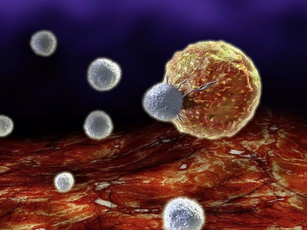 L’immunothérapie, la nouvelle arme anticancer