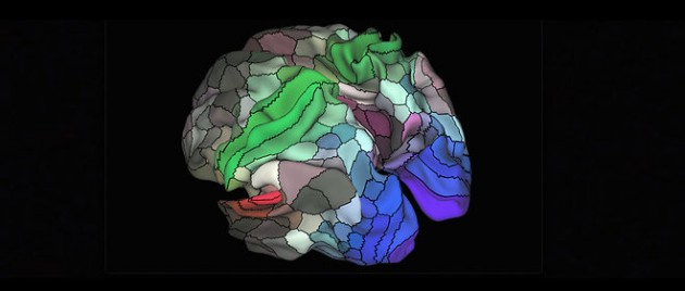 The Map of the Human Brain Is Finally Getting More Useful