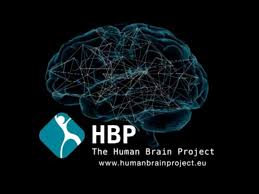 Nouvelle gouvernance pour le Human Brain Project