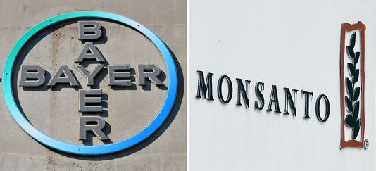 Bayer met 59 milliards d’euros sur la table pour acheter Monsanto