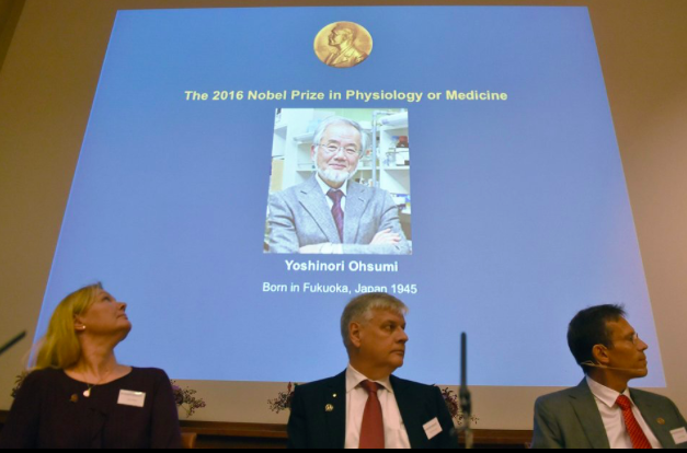 Le prix Nobel de médecine a été attribué au Japonais Yoshinori Ohsumi