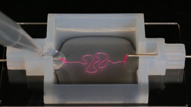 3-D-Printed Kidney Parts Just Got Closer to Reality