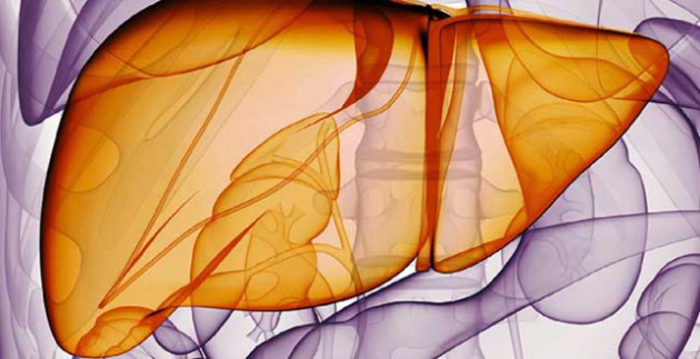 NASH : Et si Novartis rachetait Genfit