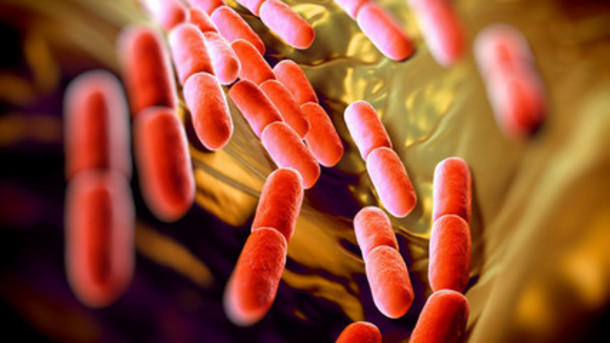 [AUDIO] EXCLUSIF – Le Microbiome : Quels liens avec les pathologies neurodégénératives ?