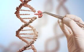 Que penser des anticancéreux basés sur l’édition du génome ?