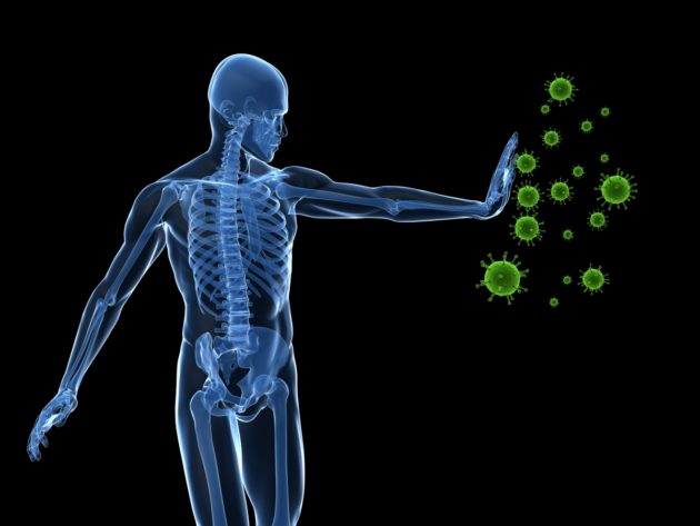 Ambassadeur de la Health Valley, BioAlps explore le monde de l’immunologie dans le cadre de son Networking Day