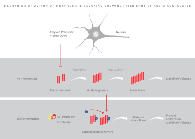 Ambassadeur de la Health Valley, AC Immune reçoit un premier paiement de Lilly