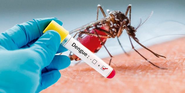 La dengue et la malaria bientôt aussi en Suisse?