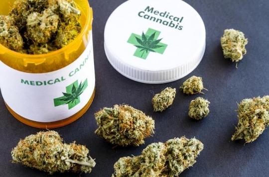 Les médecins pourraient prescrire du cannabis
