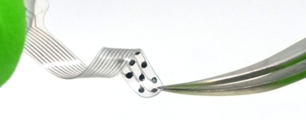 De la souplesse dans l’oreille