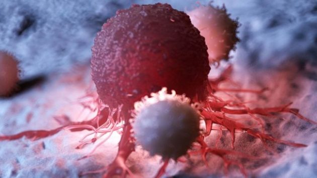 Cellestia Biotech lève encore 20 millions de francs