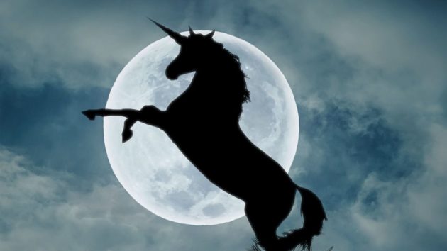 Comment profiter de l’entrée en Bourse d’une licorne?