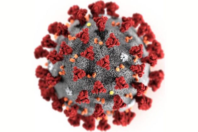 Coronavirus et brevets: la Suisse reste ferme mais évaluera la position américaine