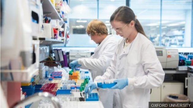 Coronavirus Oxford Vaccine Triggers Immune Response Republic Of 