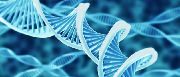 Sciences de la vie, le nouvel âge d’or