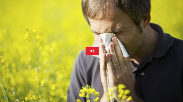 Les allergies aux pollens pourraient devenir un problème toujours plus sérieux