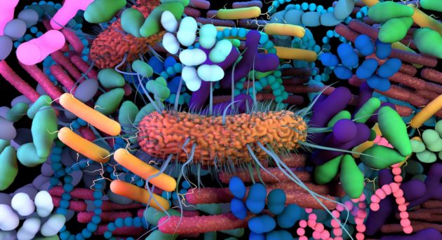 EureKare, le nouvel acteur hybride qui finance les biotechs en Europe